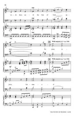 The Poetry of Promise (A Cantata for Christmas) - Martin - SATB Accompanied - Book