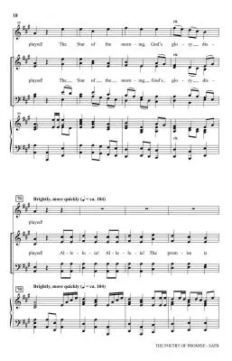 The Poetry of Promise (A Cantata for Christmas) - Martin - SATB Accompanied - Book