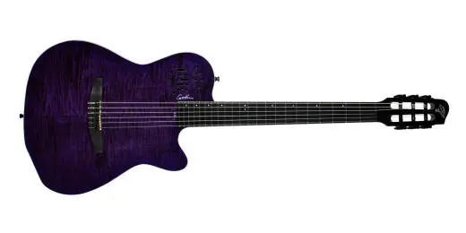 Godin Guitars - Limited Edition ACS Steve Stevens Signature 25th Anniversary Acoustic/Electric Guitar with Hardshell Case - Purple