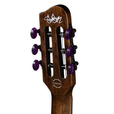 Limited Edition ACS Steve Stevens Signature 25th Anniversary Acoustic/Electric Guitar with Hardshell Case - Purple