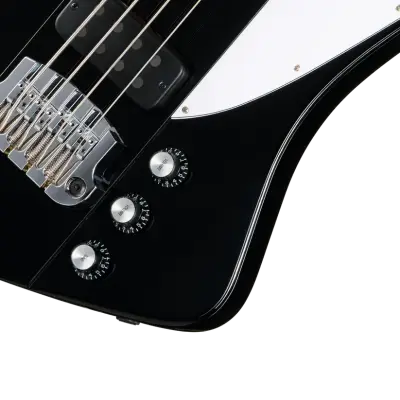 Thunderbird Bass Guitar with Hardshell Case - Ebony