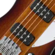 Thunderbird Bass Guitar with Hardshell Case - Tobacco Burst Perimeter