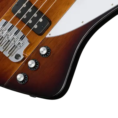 Thunderbird Bass Guitar with Hardshell Case - Tobacco Burst Perimeter