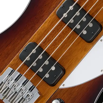 Thunderbird Bass Guitar with Hardshell Case - Tobacco Burst Perimeter