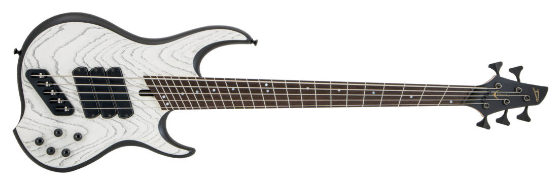 Jacob Umansky SOL Signature 5-String Bass with Gigbag