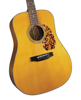 BR-140 Historic Series Dreadnaught Guitar with Gigbag