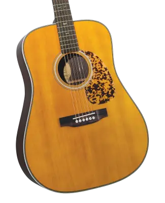 BR-160 Historic Series Dreadnaught Guitar with Gigbag