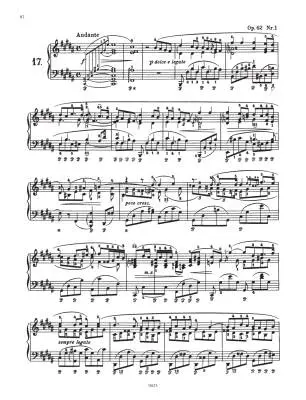 Nocturnes - Chopin/Scholtz/Pozniak - Piano - Book