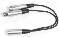 Link Audio XLR-M to 2x XLR-F Y-Cable