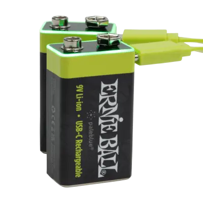 USB-C Rechargeable 9v Battery by Paleblue (2 Pack)