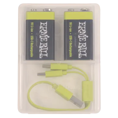 USB-C Rechargeable 9v Battery by Paleblue (2 Pack)