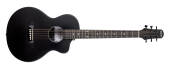 "Denver - Weatherproof Carbon Fiber Steel String Acoustic Guitar with Gigbag - Satin White"