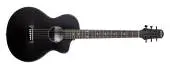 "Denver - Weatherproof Carbon Fiber Steel String Acoustic Guitar with Gigbag - Satin White"