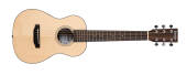 "Denver - Mini Acoustic Guitar with Gigbag - Satin Open Pore"