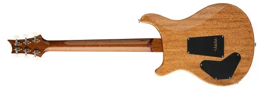 DGT Semi-Hollow Electric Guitar with Hardshell Case - Tiger Eye