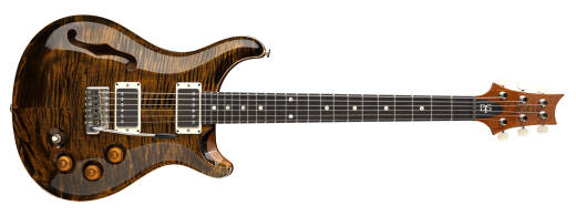 PRS Guitars - DGT Semi-Hollow Electric Guitar with Hardshell Case - Tiger Eye