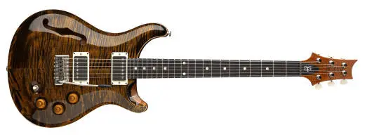 PRS Guitars - DGT Semi-Hollow Electric Guitar with Hardshell Case - Tiger Eye