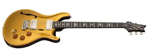 DGT Semi-Hollow Electric Guitar with Hardshell Case - Gold Top