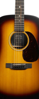 D-X2E Molly Tuttle Acoustic/Electric Guitar with Softshell Case