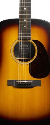 D-X2E Molly Tuttle Acoustic/Electric Guitar with Softshell Case