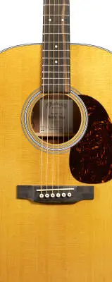 DE Retro Plus Granadillo Acoustic/Electric Guitar with Softshell Case
