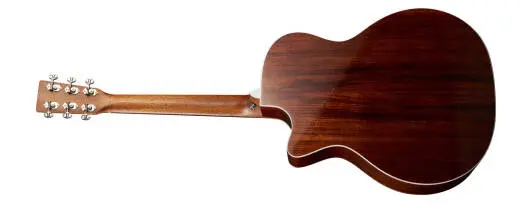 GPC-13E Modern Acoustic/Electric Guitar with Softshell Case