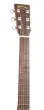 SC-10E Modern Sapele Acoustic/Electric Guitar with Softshell Case