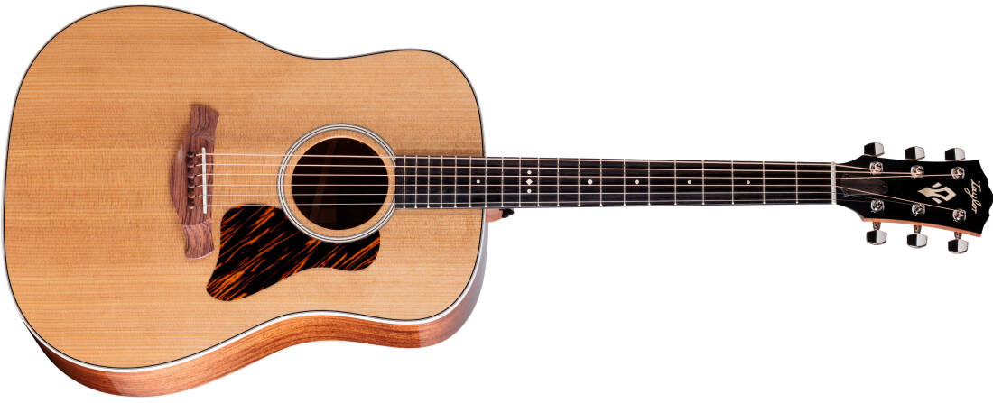 Gold Label 510e Sitka/Mahogany Acoustic-Electric Guitar with Case