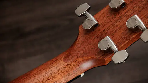 Gold Label 510e Sitka/Mahogany Acoustic-Electric Guitar with Case