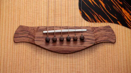 Gold Label 510e Sitka/Mahogany Acoustic-Electric Guitar with Case