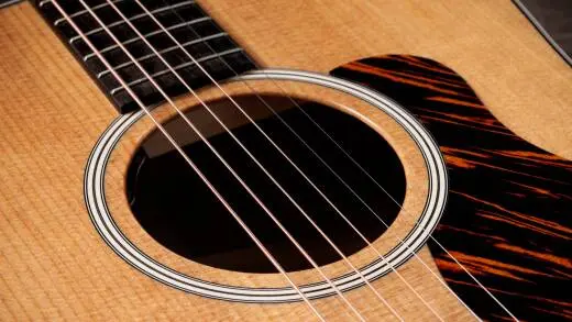 Gold Label 510e Sitka/Mahogany Acoustic-Electric Guitar with Case