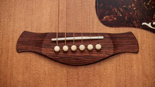 Gold Label 810e Sitka/Honduran Rosewood Acoustic-Electric Guitar with Case