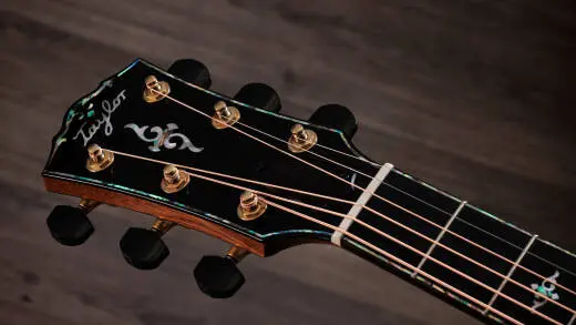 Gold Label 917e Acoustic-Electric Guitar with Case - Natural