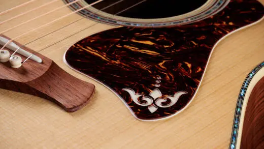 Gold Label 917e Acoustic-Electric Guitar with Case - Natural