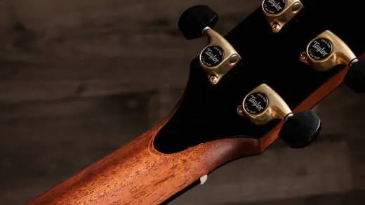 Gold Label 917e Acoustic-Electric Guitar with Case - Natural