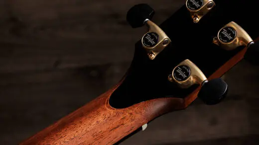 Gold Label 914e Adirondack Spruce/Honduran Rosewood Acoustic-Electric Guitar with Case