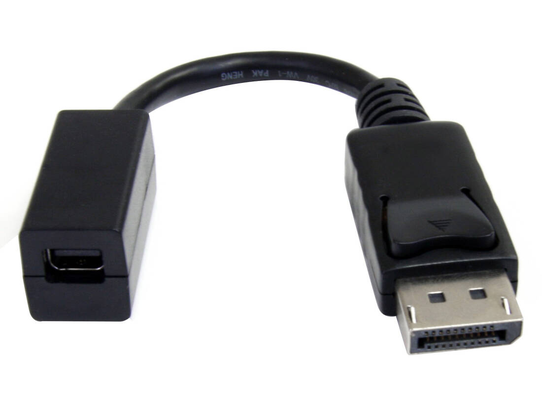 DisplayPort to Mini DisplayPort Video Cable Adapter - 6 inch
