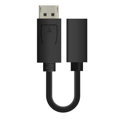 DisplayPort to Mini DisplayPort Video Cable Adapter - 6 inch