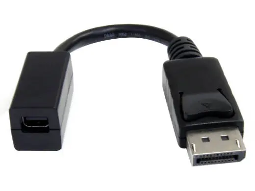 StarTech - DisplayPort to Mini DisplayPort Video Cable Adapter - 6 inch