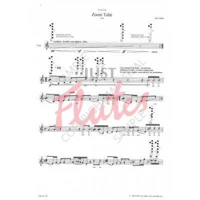 Zoom Tube - Clarke - Flute - Sheet