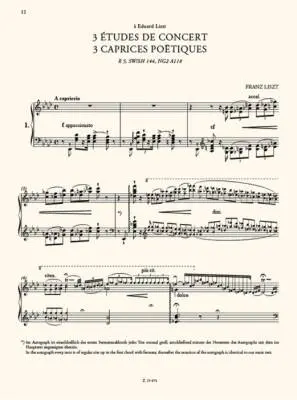3 Etudes de Concert - Liszt/Kaczmarczyk - Piano - Book