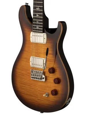 SE DGT Electric Guitar with Gig Bag, Birds Inlay - McCarty Tobacco Sunburst