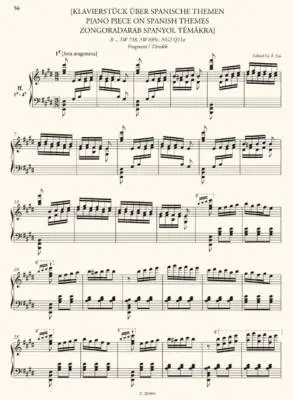 Piano Works, Volume 16 (Free Arrangements and Technical Exercises) - Liszt - Piano - Book