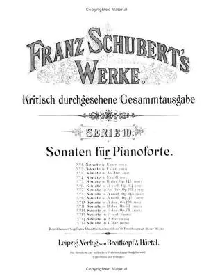 Complete Sonatas - Schubert - Piano - Book