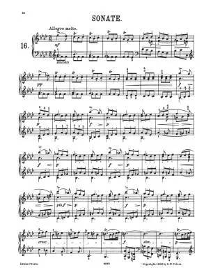 24 Sonatas in Progressive Order - Scarlatti/Sauer - Piano - Book