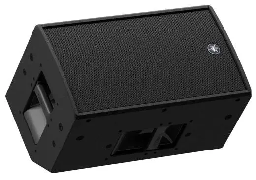 CRZ10 10\'\' 700W 2-Way Loudspeaker