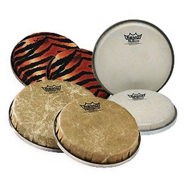  REMO Paddle Drum, FIBERSKYN® Head, 8'' Diameter (Includes  Mallet And Ball) : Musical Instruments