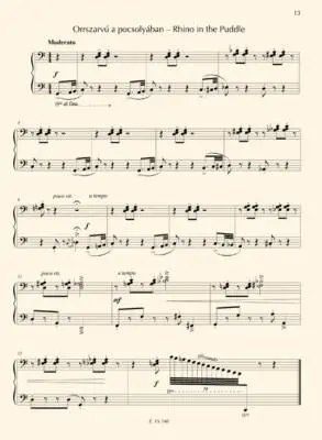 Inventions for Young Pianists - Wolf -  Piano - Book