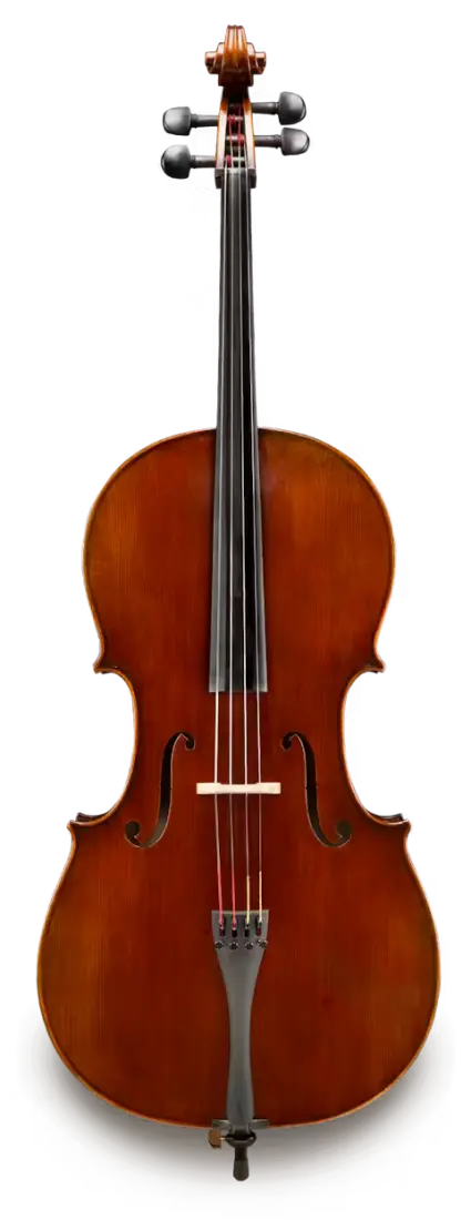 Doetsch Master Professional 4/4 Cello Outfit