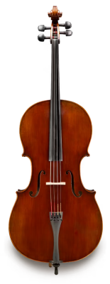 Eastman Strings - Doetsch Master Professional 4/4 Cello Outfit